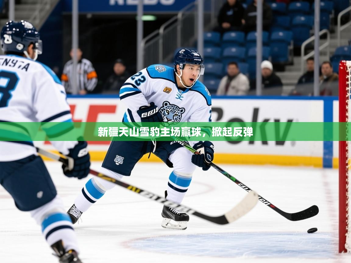 新疆天山雪豹主场赢球，掀起反弹  第2张