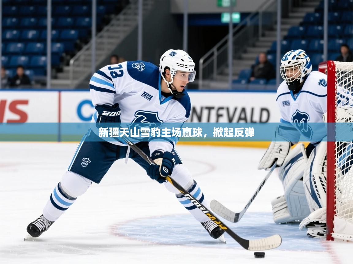 新疆天山雪豹主场赢球，掀起反弹  第3张