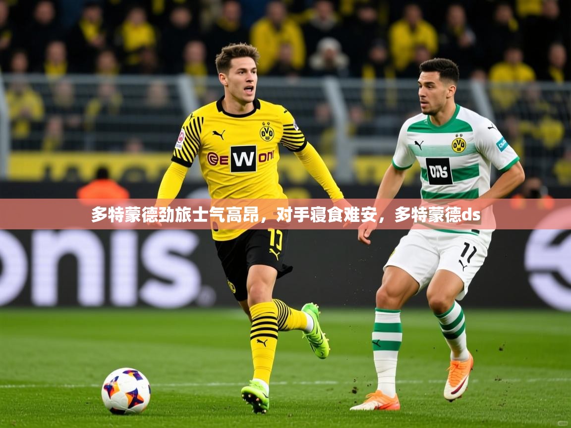 多特蒙德劲旅士气高昂，对手寝食难安，多特蒙德ds  第4张