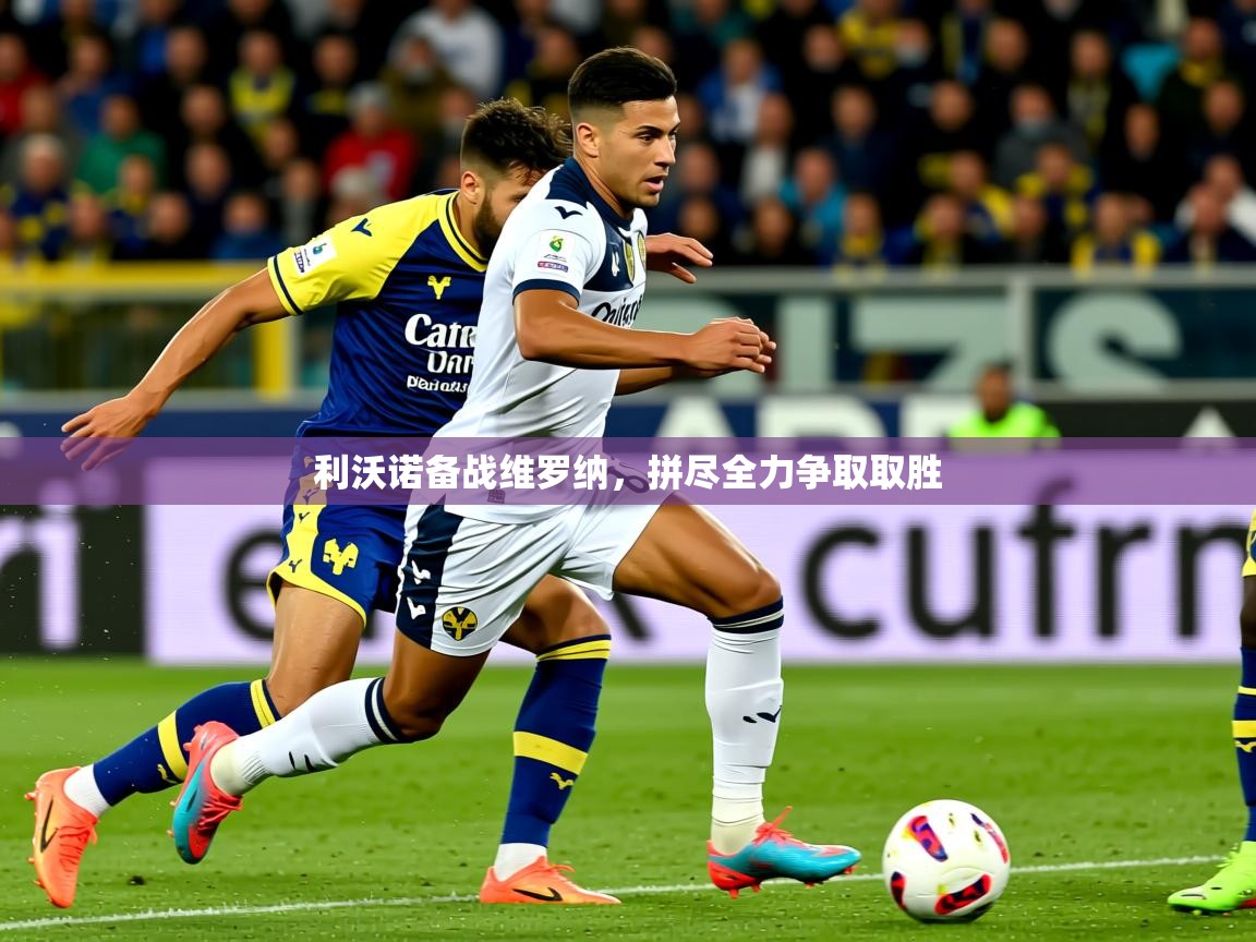 利沃诺备战维罗纳，拼尽全力争取取胜  第3张