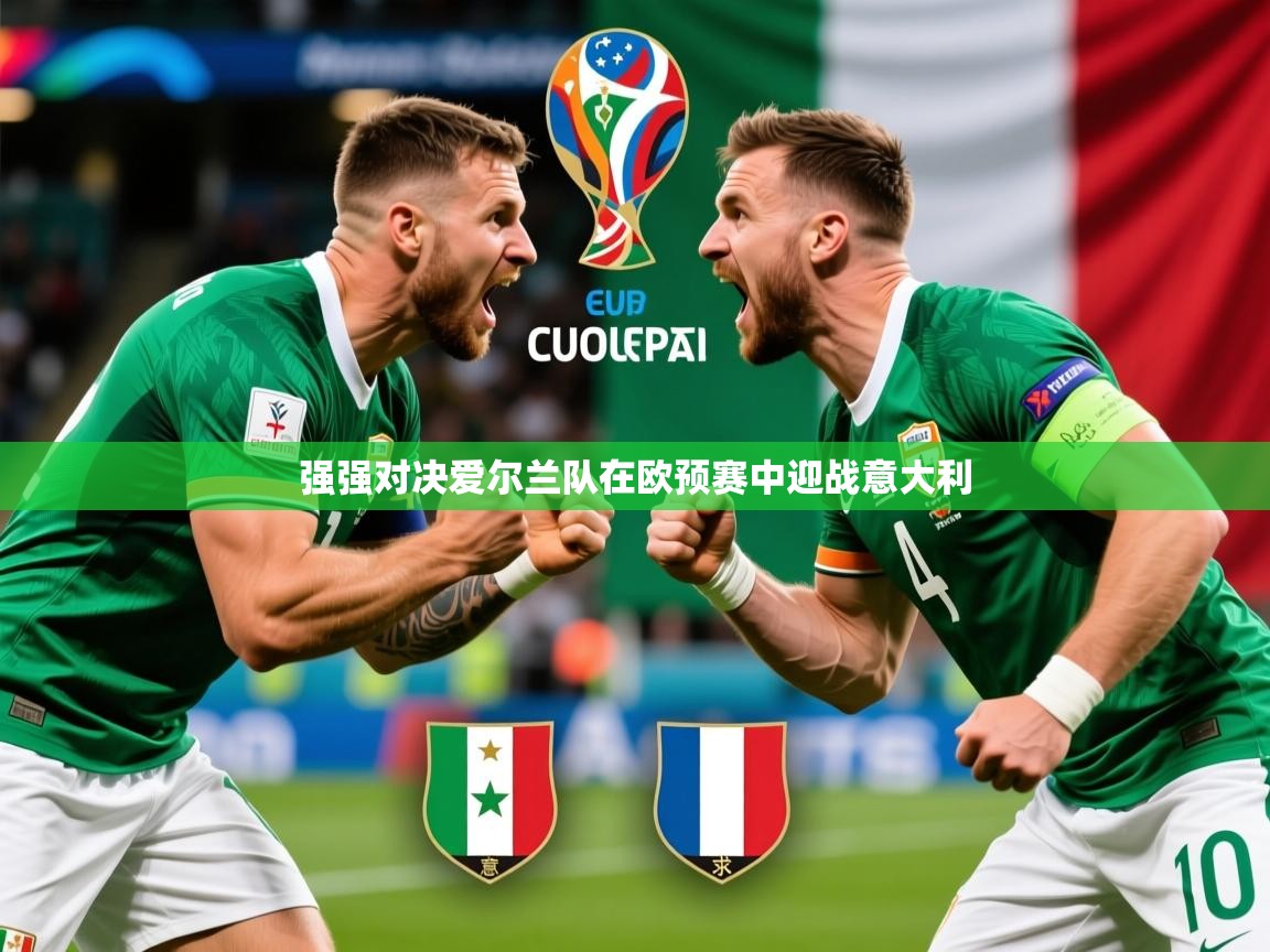 强强对决爱尔兰队在欧预赛中迎战意大利 第1张